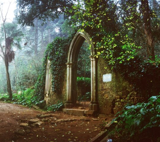 Quinta das Lágrimas Quinta das Lágrimas